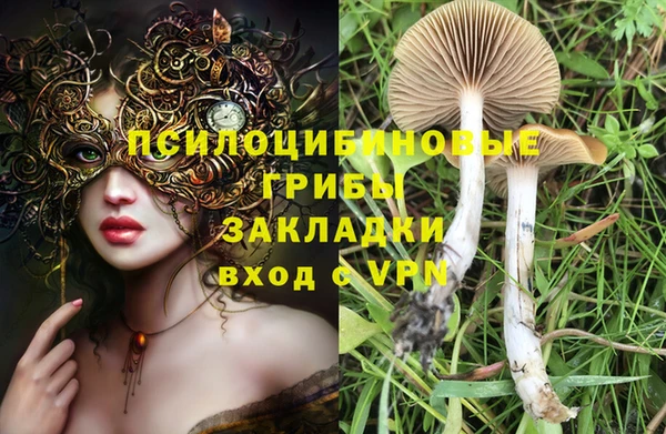 молекула духа Богданович