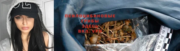 трава Армянск