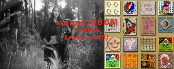 индика Зеленодольск
